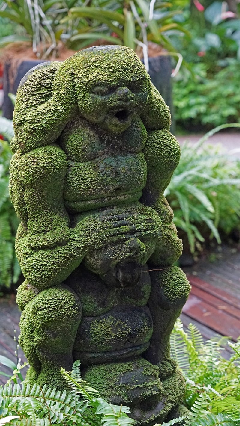 Singapore Botanic Gardens